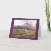 素晴らしいPyrおよび群 カード (正面)