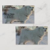 素晴らしいPyreneeesの名刺 名刺 (正面/裏面)