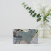 素晴らしいPyreneeesの名刺 名刺 (スタンド正面)