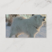 素晴らしいPyreneeesの名刺 名刺 (裏面)