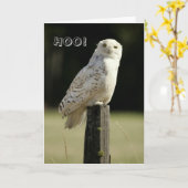 素晴らしいSnowy白のフクロウ、あなたの考えること カード (黄色い花)