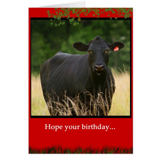 素晴らしいUdderly (正面)