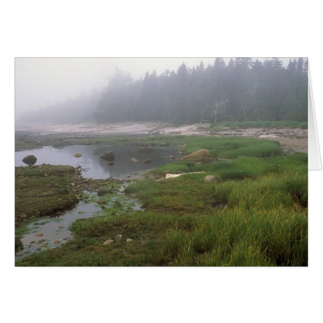 素晴らしかったです島メインは (正面横)