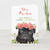素晴らしくとどまり、ハッピーバースデーのパグを持って下さい カード (正面)
