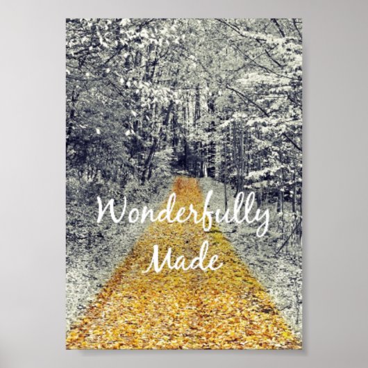 素晴らしく作られた聖書の詩 ポスター (正面)