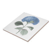 素晴らしく青いアジサイの花 タイル (側面)