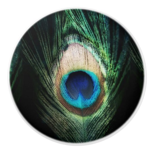 素晴らしく黒い孔雀 セラミックノブ (正面)