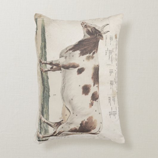 素晴らしく、美しいヴィンテージ牛の枕。 アクセントクッション (正面(垂直))