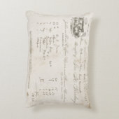 素晴らしく、美しいヴィンテージ牛の枕。 アクセントクッション (裏面(縦))