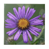 素晴らしさ タイル (正面)