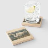 素晴らしアメリカのオードボンの鳥から来た白いヘロン ストーンコースター (横)