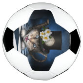 素晴らしアリスinワンダーランドティーポット猫 サッカーボール (回転)