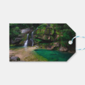 素晴らしウォーターフォールVirje,スロベニアのポスター ギフトタグ (正面(横))