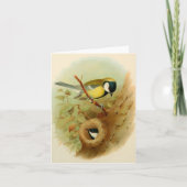 素晴らしカラフル鳥 カード (正面)