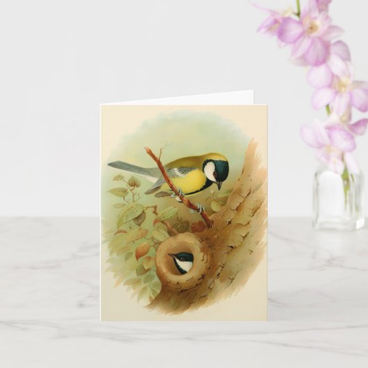 素晴らしカラフル鳥 カード (蘭)