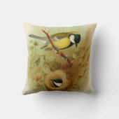 素晴らしカラフル鳥 クッション (裏面)