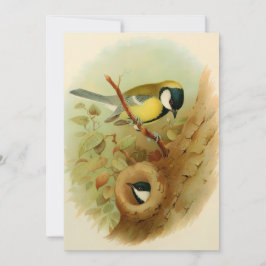 素晴らしカラフル鳥 シーズンカード