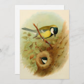 素晴らしカラフル鳥 シーズンカード (正面/裏面)