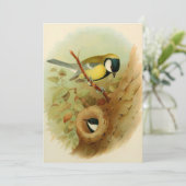 素晴らしカラフル鳥 シーズンカード (スタンド正面)