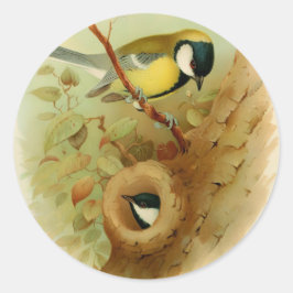 素晴らしカラフル鳥 ラウンドシール