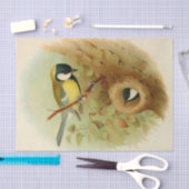 素晴らしカラフル鳥 薄葉紙 (クラフト)