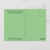 素晴らしコスタ飛んでいるリカのハミングバード ポストカード (裏面)