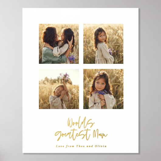 素晴らしスタイリッシュ数々の写真エレガント 箔ポスター (正面)