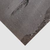 素晴らしスフィンクス&ギザピラミッド壊死症エジプト 薄葉紙 (詳細)