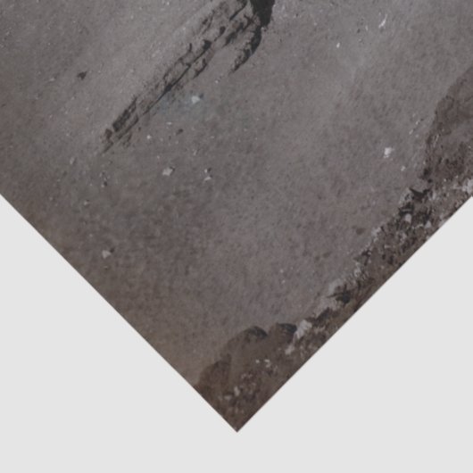 素晴らしスフィンクス&ギザピラミッド壊死症エジプト 薄葉紙 (詳細)