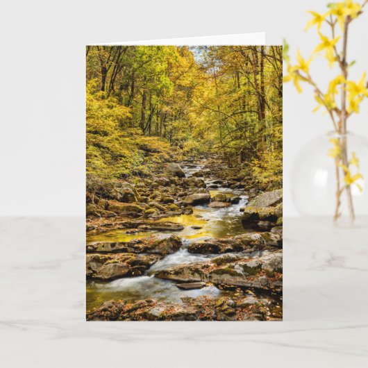 素晴らしスモーク山国立公園。ビッグクリーク カード (黄色い花)