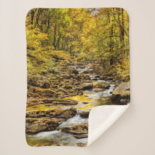 素晴らしスモーク山国立公園。ビッグクリーク シェルパブランケット (正面)