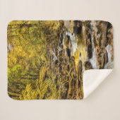 素晴らしスモーク山国立公園。ビッグクリーク シェルパブランケット (正面(横))