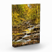 素晴らしスモーク山国立公園。ビッグクリーク フォトブロック (左)