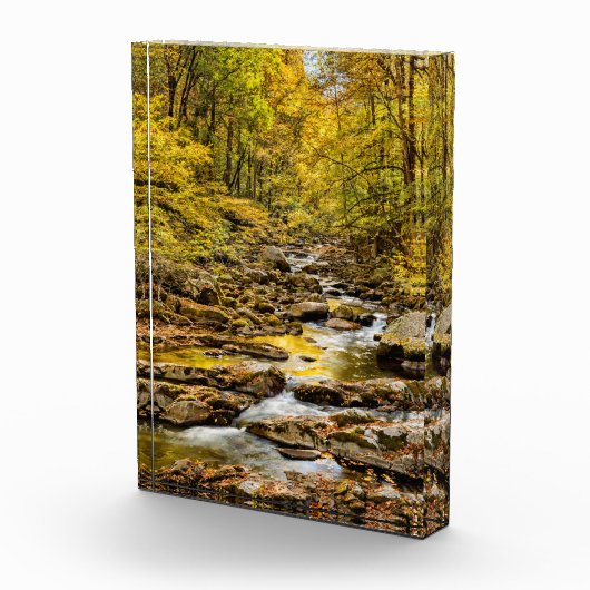 素晴らしスモーク山国立公園。ビッグクリーク フォトブロック (右)