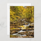 素晴らしスモーク山国立公園。ビッグクリーク ポストカード (正面/裏面)