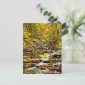 素晴らしスモーク山国立公園。ビッグクリーク ポストカード (スタンド正面)