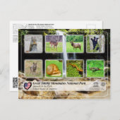 素晴らしスモーク山脈の国立公園 – 動物 ポストカード (正面/裏面)
