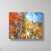 素晴らしスモーク山脈カラフル紅葉