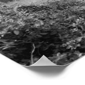 素晴らしチムハウス ポスター (角)