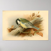 素晴らしティットバイロードリフォードイラストレーション ポスター (正面)