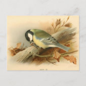 素晴らしティットバイロードリフォードイラストレーション ポストカード (正面)