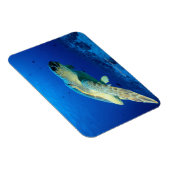 素晴らしバリアリーフ（オーストラリア） 2 マグネット (右側)