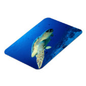 素晴らしバリアリーフ（オーストラリア） 2 マグネット (左側)