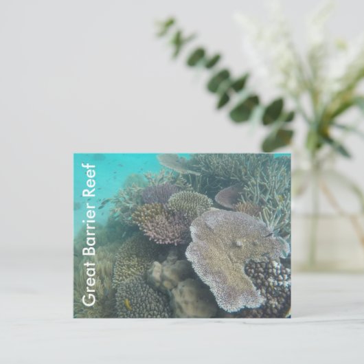 素晴らしバリアリーフ ポストカード (スタンド正面)