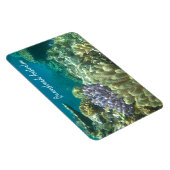 素晴らしバリアリーフ マグネット (右側)