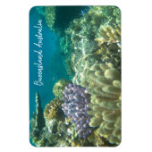 素晴らしバリアリーフ マグネット (縦)