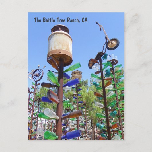 素晴らしボトルツリーランチはがき! ポストカード (正面)