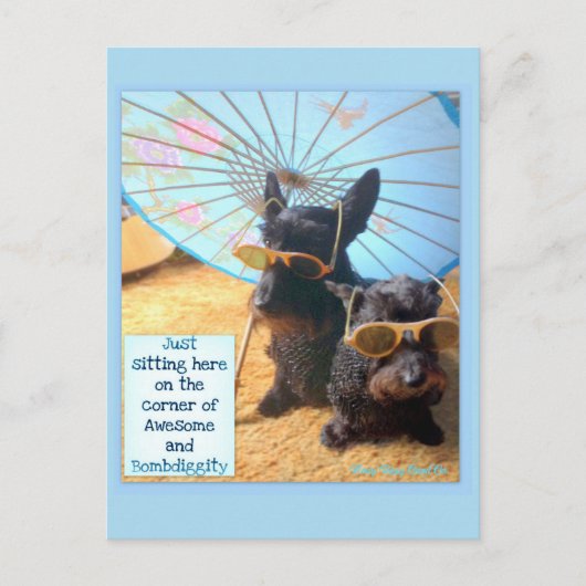 素晴らしボンビティポストカード シーズンポストカード (正面)