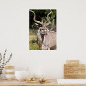 素晴らしポスター ポスター (キッチン)