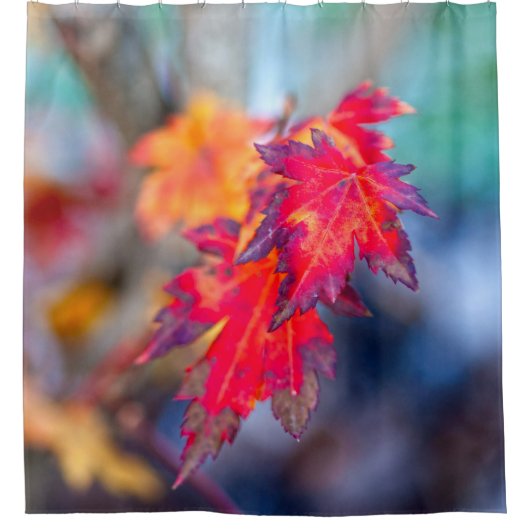 素晴らしメ日本のデ葉ス シャワーカーテン (正面)